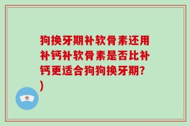 狗换牙期补软骨素还用补钙补软骨素是否比补钙更适合狗狗换牙期？)
