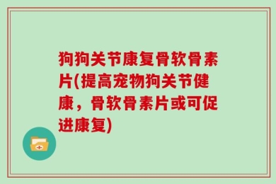 狗狗关节康复骨软骨素片(提高宠物狗关节健康，骨软骨素片或可促进康复)