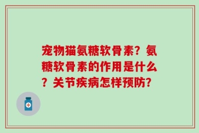 宠物猫氨糖软骨素？氨糖软骨素的作用是什么？关节疾病怎样预防？