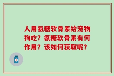 人用氨糖软骨素给宠物狗吃？氨糖软骨素有何作用？该如何获取呢？