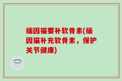 缅因猫要补软骨素(缅因猫补充软骨素，保护关节健康)
