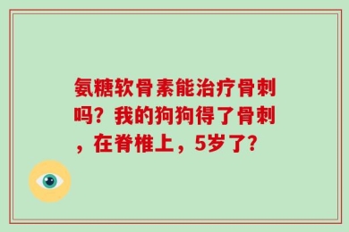 氨糖软骨素能治疗骨刺吗？我的狗狗得了骨刺，在脊椎上，5岁了？