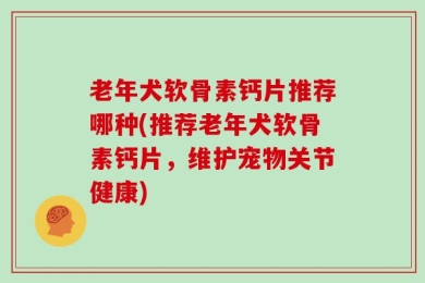 老年犬软骨素钙片推荐哪种(推荐老年犬软骨素钙片，维护宠物关节健康)