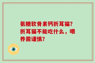 氨糖软骨素钙折耳猫？折耳猫不能吃什么，喂养需谨慎？