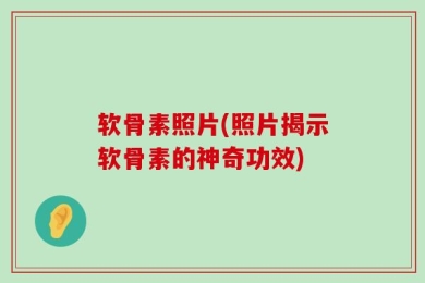软骨素照片(照片揭示软骨素的神奇功效)