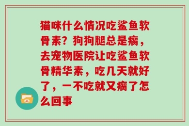 猫咪什么情况吃鲨鱼软骨素？狗狗腿总是瘸，去宠物医院让吃鲨鱼软骨精华素，吃几天就好了，一不吃就又瘸了怎么回事