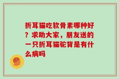 折耳猫吃软骨素哪种好？求助大家，朋友送的一只折耳猫驼背是有什么病吗
