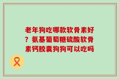 老年狗吃哪款软骨素好？氨基葡萄糖硫酸软骨素钙胶囊狗狗可以吃吗