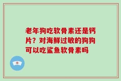 老年狗吃软骨素还是钙片？对海鲜过敏的狗狗可以吃鲨鱼软骨素吗