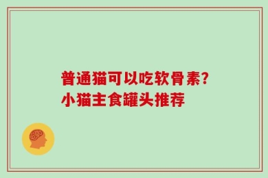 普通猫可以吃软骨素？小猫主食罐头推荐