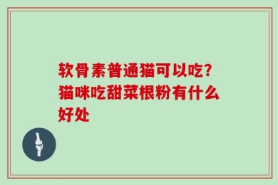 软骨素普通猫可以吃？猫咪吃甜菜根粉有什么好处