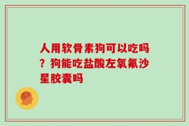 人用软骨素狗可以吃吗？狗能吃盐酸左氧氟沙星胶囊吗