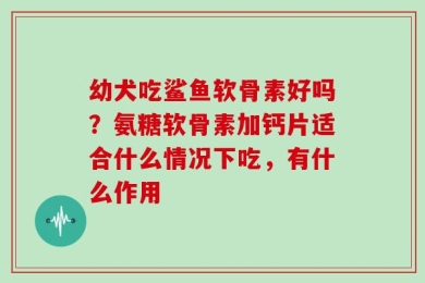 幼犬吃鲨鱼软骨素好吗？氨糖软骨素加钙片适合什么情况下吃，有什么作用