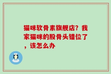 猫咪软骨素旗舰店？我家猫咪的股骨头错位了，该怎么办