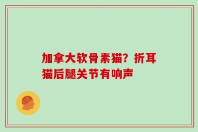 加拿大软骨素猫？折耳猫后腿关节有响声