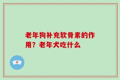 老年狗补充软骨素的作用？老年犬吃什么