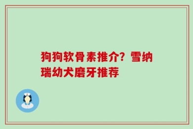 狗狗软骨素推介？雪纳瑞幼犬磨牙推荐
