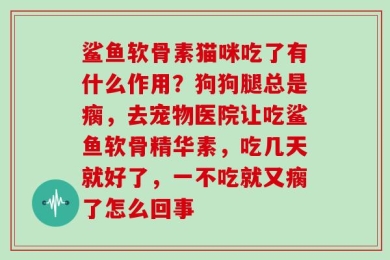 鲨鱼软骨素猫咪吃了有什么作用？狗狗腿总是瘸，去宠物医院让吃鲨鱼软骨精华素，吃几天就好了，一不吃就又瘸了怎么回事