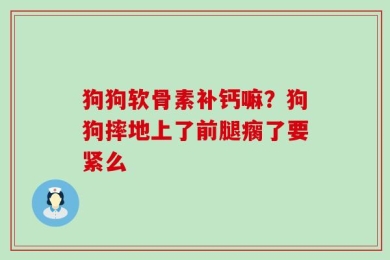 狗狗软骨素补钙嘛？狗狗摔地上了前腿瘸了要紧么