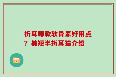 折耳哪款软骨素好用点？美短半折耳猫介绍
