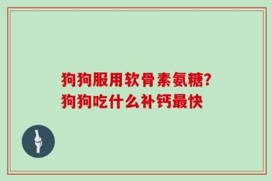 狗狗服用软骨素氨糖？狗狗吃什么补钙最快