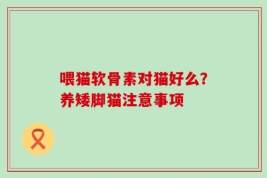 喂猫软骨素对猫好么？养矮脚猫注意事项
