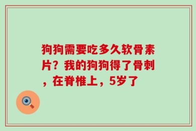 狗狗需要吃多久软骨素片？我的狗狗得了骨刺，在脊椎上，5岁了