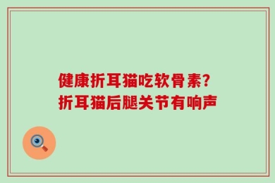 健康折耳猫吃软骨素？折耳猫后腿关节有响声