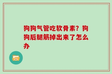 狗狗气管吃软骨素？狗狗后腿筋掉出来了怎么办