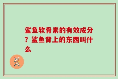 鲨鱼软骨素的有效成分？鲨鱼背上的东西叫什么
