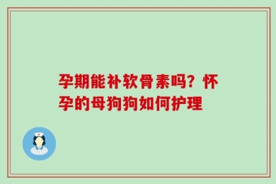 孕期能补软骨素吗？怀孕的母狗狗如何护理