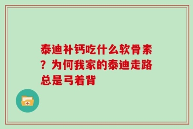 泰迪补钙吃什么软骨素？为何我家的泰迪走路总是弓着背