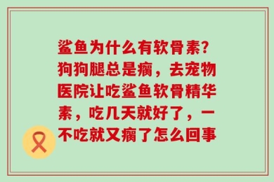 鲨鱼为什么有软骨素？狗狗腿总是瘸，去宠物医院让吃鲨鱼软骨精华素，吃几天就好了，一不吃就又瘸了怎么回事