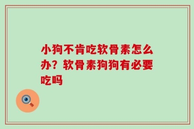 小狗不肯吃软骨素怎么办？软骨素狗狗有必要吃吗