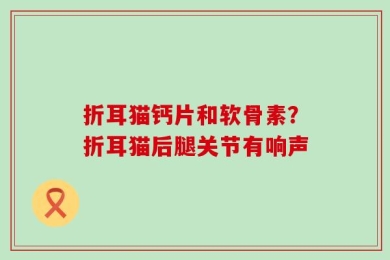 折耳猫钙片和软骨素？折耳猫后腿关节有响声