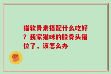 猫软骨素搭配什么吃好？我家猫咪的股骨头错位了，该怎么办