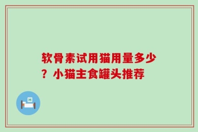 软骨素试用猫用量多少？小猫主食罐头推荐