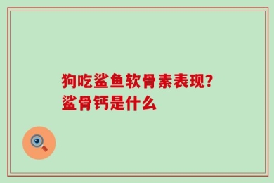 狗吃鲨鱼软骨素表现？鲨骨钙是什么