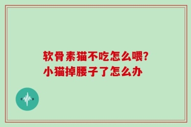 软骨素猫不吃怎么喂？小猫掉腰子了怎么办