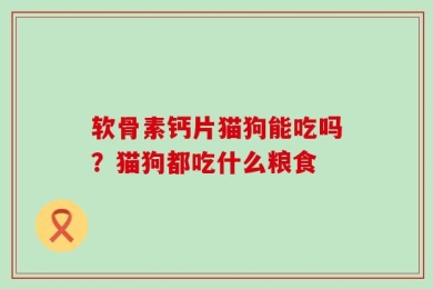 软骨素钙片猫狗能吃吗？猫狗都吃什么粮食