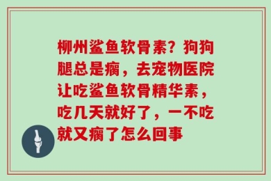 柳州鲨鱼软骨素？狗狗腿总是瘸，去宠物医院让吃鲨鱼软骨精华素，吃几天就好了，一不吃就又瘸了怎么回事