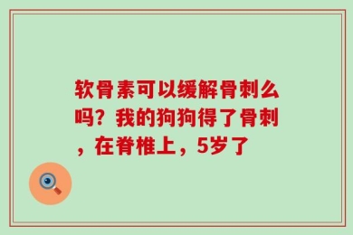 软骨素可以缓解骨刺么吗？我的狗狗得了骨刺，在脊椎上，5岁了