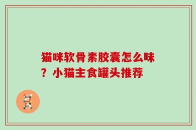 猫咪软骨素胶囊怎么味？小猫主食罐头推荐