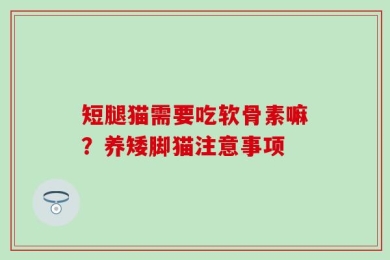 短腿猫需要吃软骨素嘛？养矮脚猫注意事项