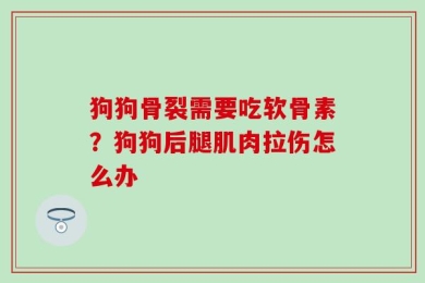 狗狗骨裂需要吃软骨素？狗狗后腿肌肉拉伤怎么办