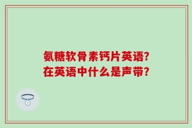 氨糖软骨素钙片英语？在英语中什么是声带？
