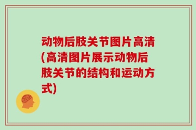 动物后肢关节图片高清(高清图片展示动物后肢关节的结构和运动方式)