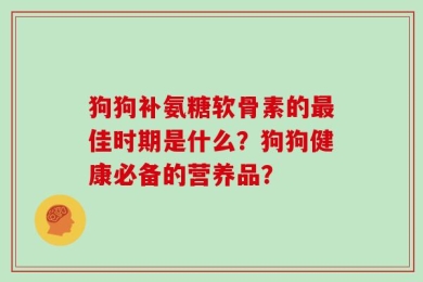 狗狗补氨糖软骨素的最佳时期是什么？狗狗健康必备的营养品？