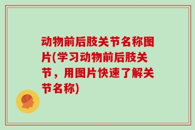 动物前后肢关节名称图片(学习动物前后肢关节，用图片快速了解关节名称)