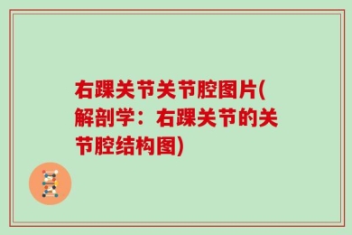右踝关节关节腔图片(解剖学：右踝关节的关节腔结构图)